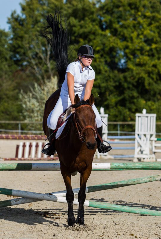 cheval sautant un obstacle