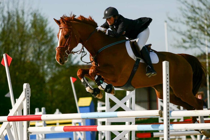photographie d'équitation